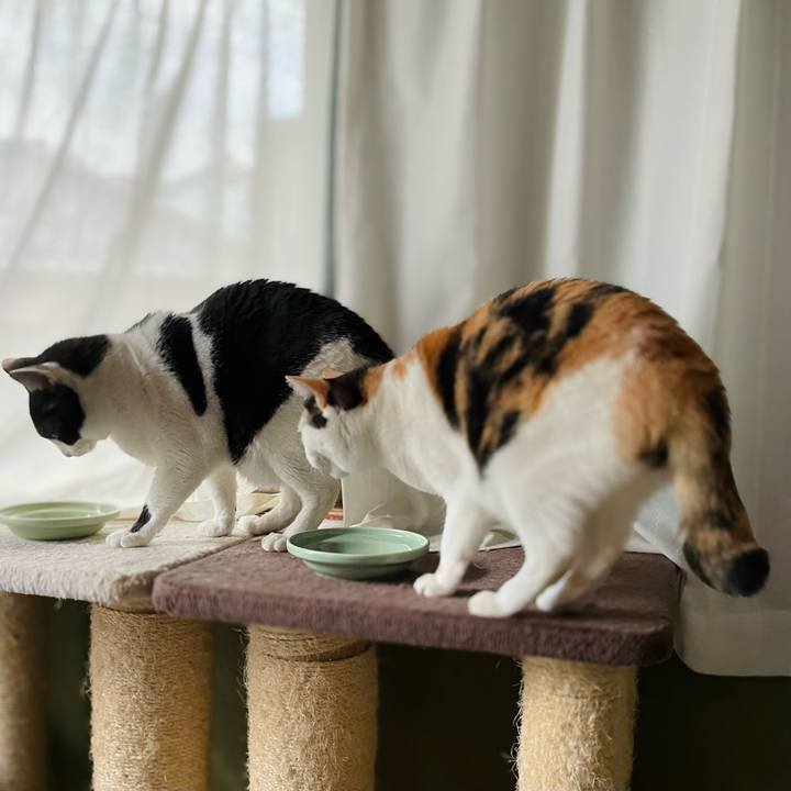 Aff6c856 ae1f 452a 9d04 39bcea4e68d5 1640313284834