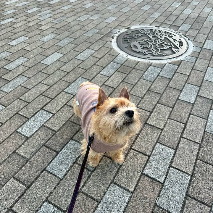 Aff6ce4d 26f7 47eb aea6 c82f5b35133c 1735399167120