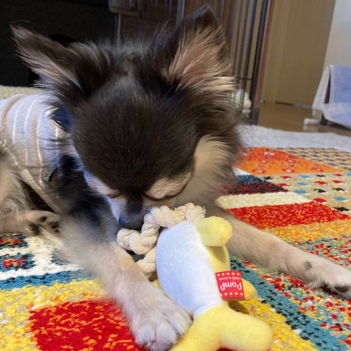 Aff6d978 9e5b 4a69 8130 a1be682c946e 1716651927055