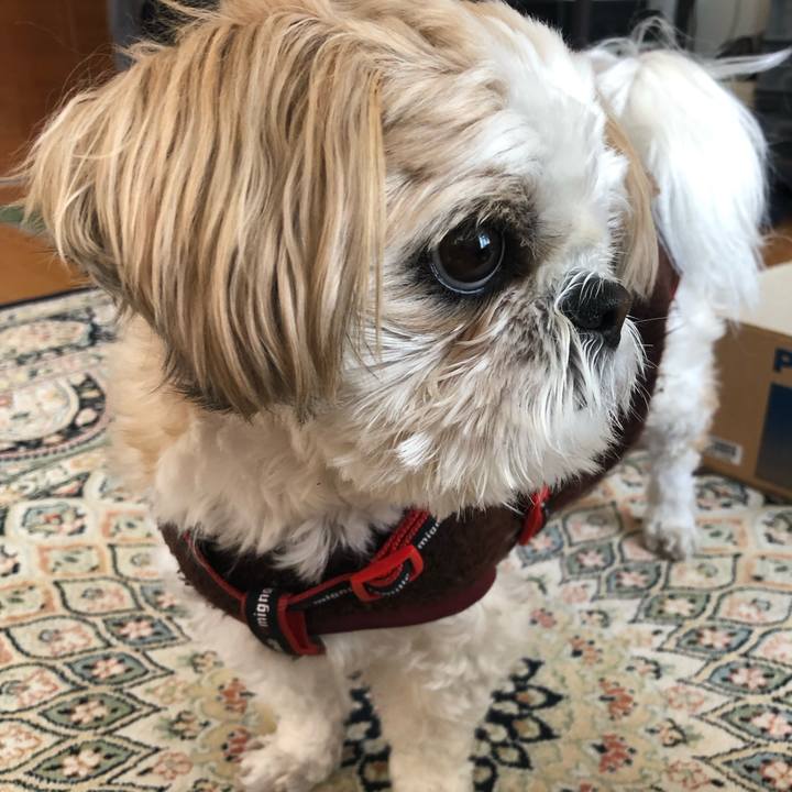 Aff6fe5f 2101 49a5 ac3c 7453340e3b4a 1552097087881