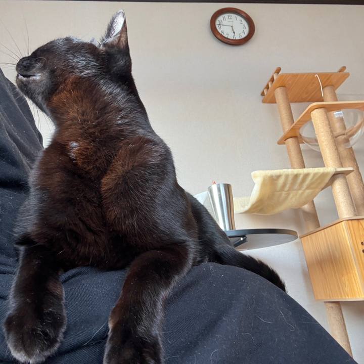 Aff70316 969f 4ea3 9170 1ffbabdabf89 1746132288212