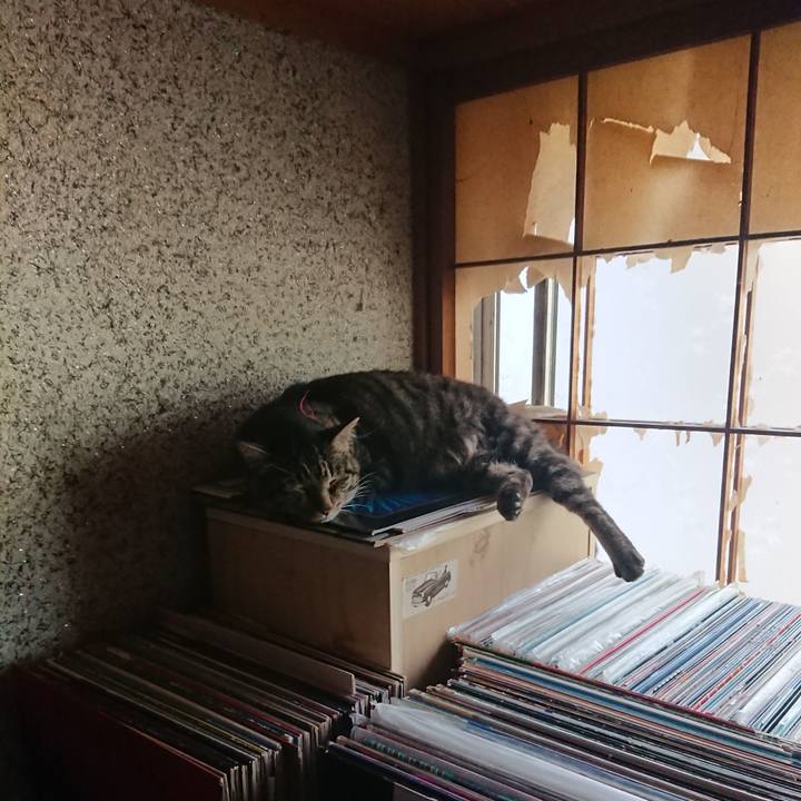 Aff728a8 cbed 4229 bdfb 516b97d952f6 1659845028487