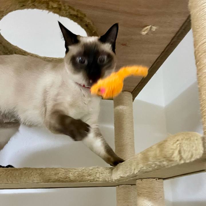 Aff738ad a92a 4a32 af34 8054a6e63647 1710533788955