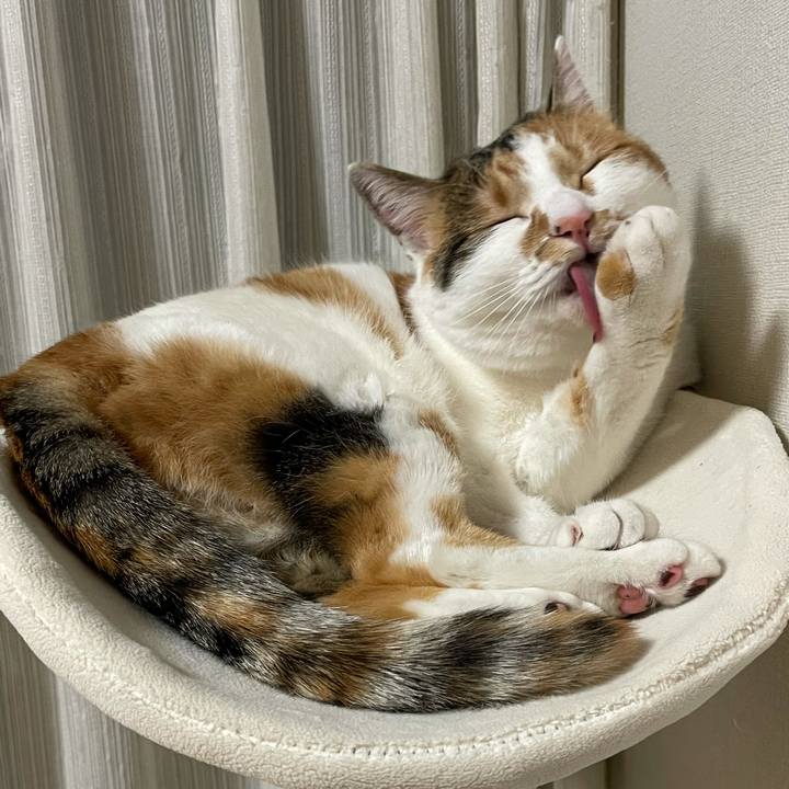 Aff73f5f e2cf 4be8 a7eb 1f7f29798d22 1611587430694