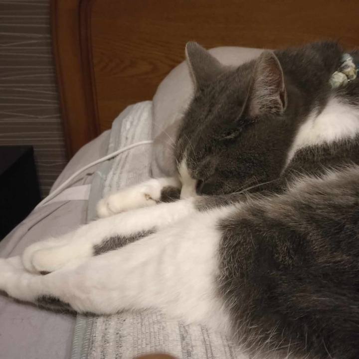 Aff7a0bf 3505 4fbc 9ed2 6650bccb5eff 1718585126030