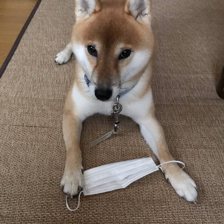 Aff7a8ac e841 437f b1f6 a71957ea218e 1601962610692