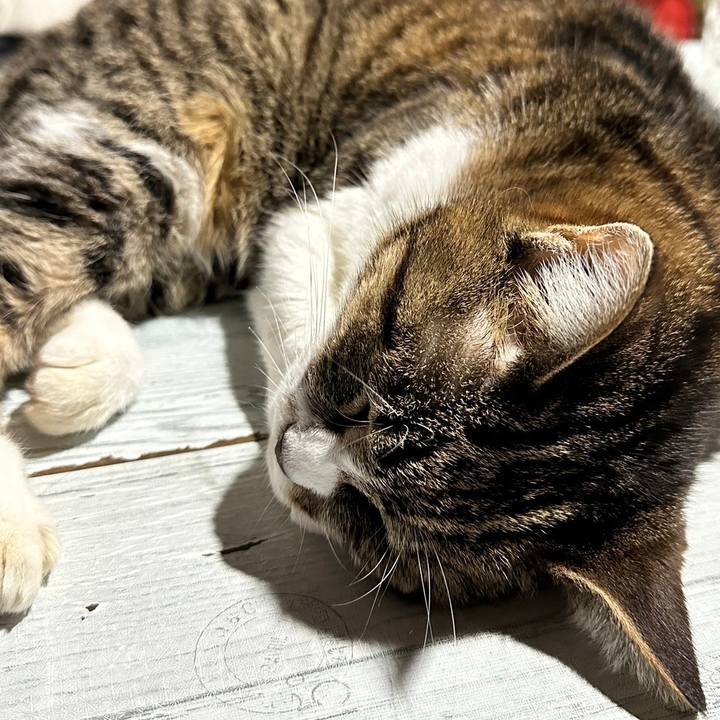 Aff7abb2 95c2 4178 84c4 67ee6e09e6a3 1711378361055