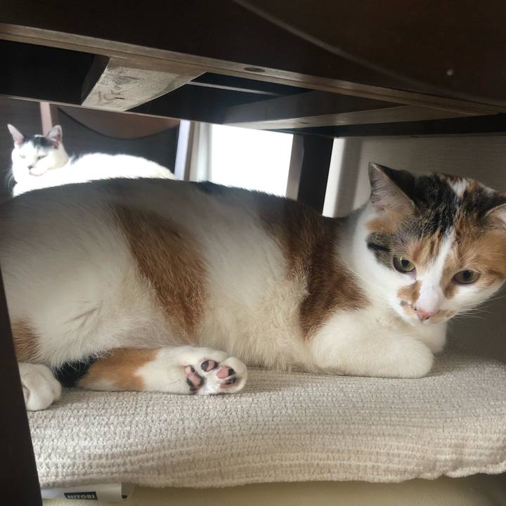 Aff7b215 9188 4fb3 bbf5 9cf90a637a2e 1584764896538