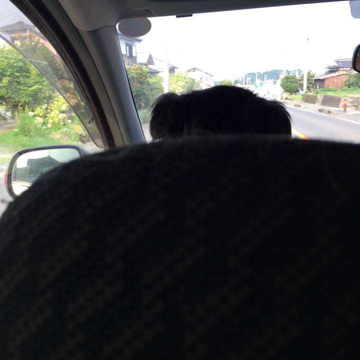 Aff7caf0 238d 4974 9cf9 3a5c791b97ae 1531692794094