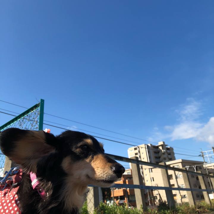 Aff7e144 9398 4b83 bad9 c6108b1b0d47 1583367680219