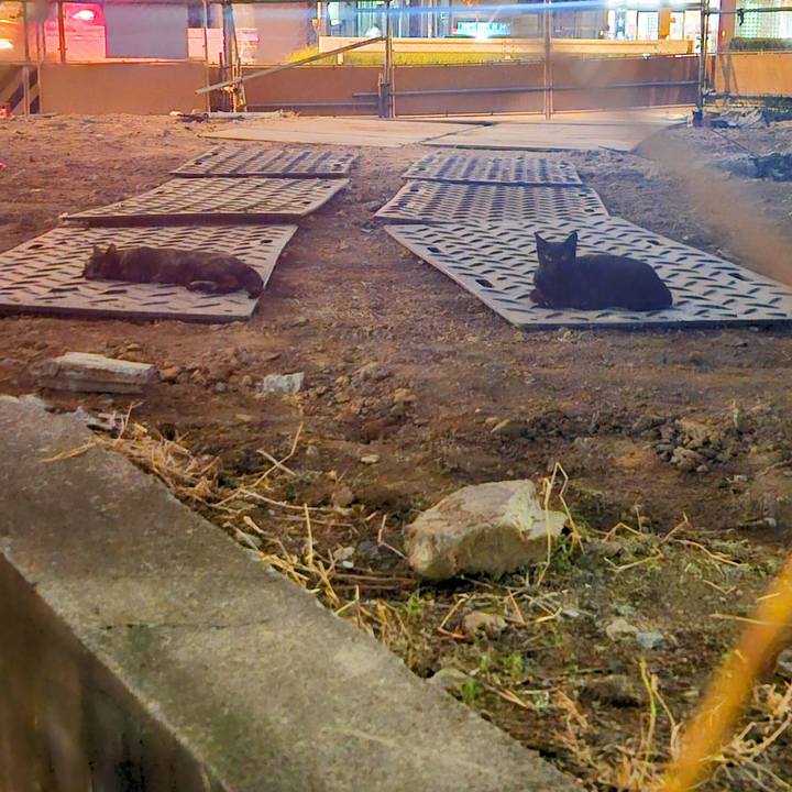 Aff801d5 2f8b 42ce 8c61 48f1557f73c5 1722390804479