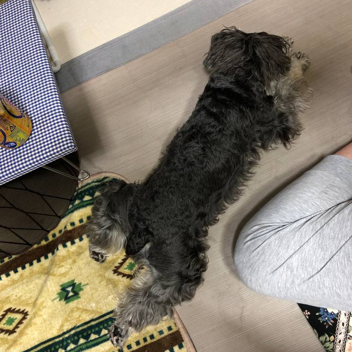 Aff85ad2 97e3 4af4 999e d6157c919a61 1623407041177