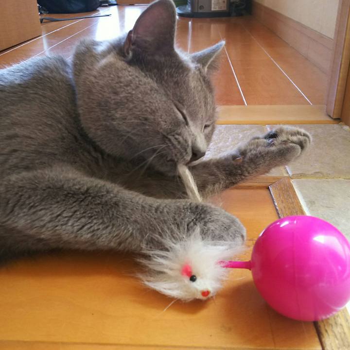 Aff88512 08da 4799 8180 f5f549e08ba2 1529637410754