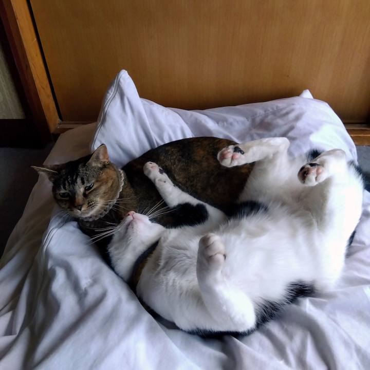 Aff889ef c571 4599 a2bc f5cb98d0bec6 1650934842725