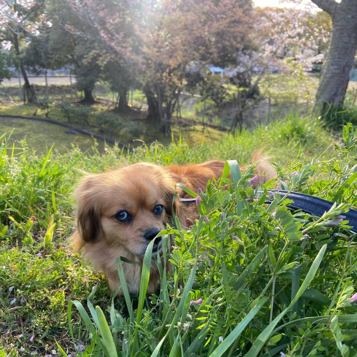 Aff8bcc9 73b6 4459 8e27 20840f596df4 1586903046140