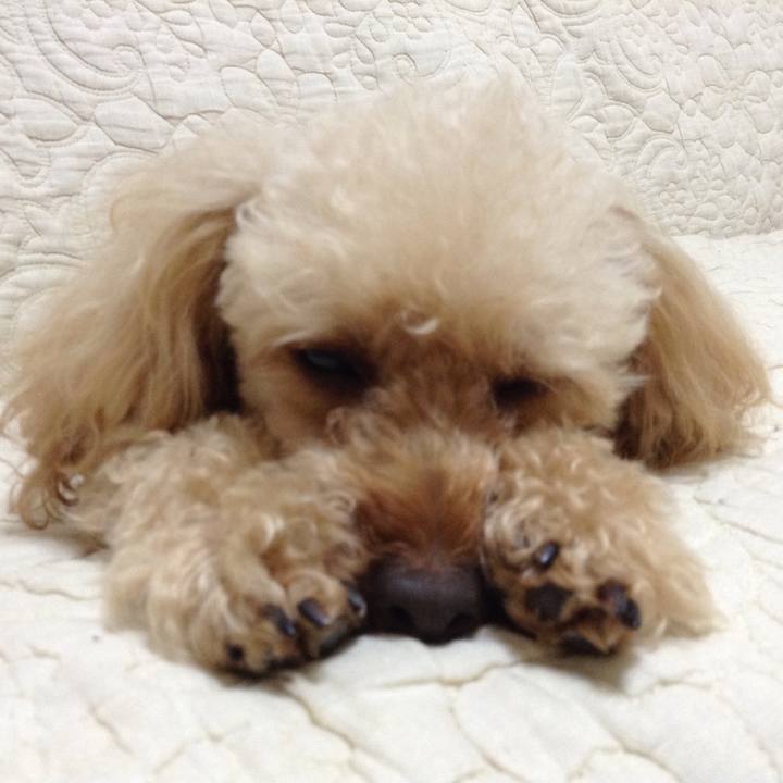 Aff8f880 2fca 44e0 9d19 c31b57743ea4 1527018001061