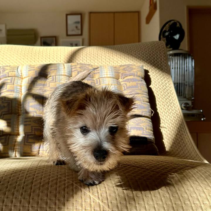 Aff908aa f78b 4d42 b95e ed31903aba54 1702008130305