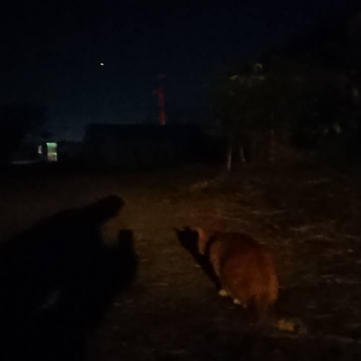 Aff91cc8 0a48 4213 97ee 6dd81306bd1e 1601978211240