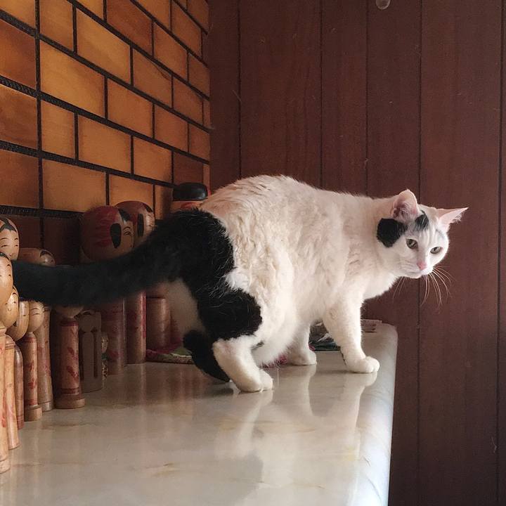 Aff92a54 99a5 40db a3da 6514e609391c 1620802801168