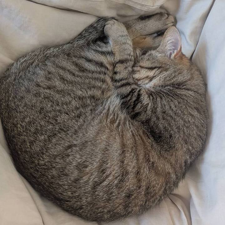 Aff94cf7 8f38 4872 9ce8 c1364205a90a 1772458256921