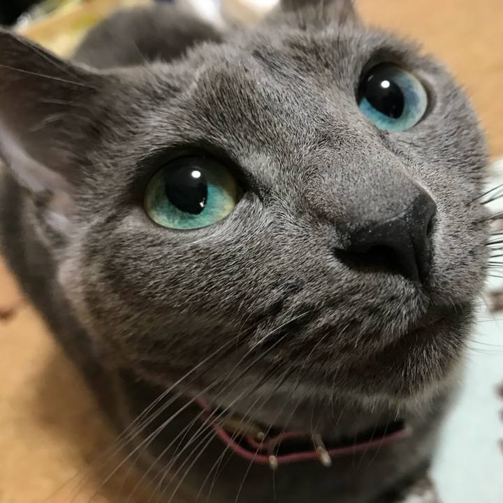 Aff96542 7c6b 414a 8276 fa3b0e60abea 1510888374741