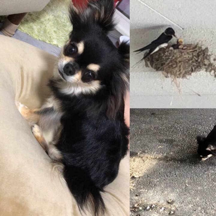 Aff98ca6 152e 4ead a1cb cf5cf62bae8e 1594721666649