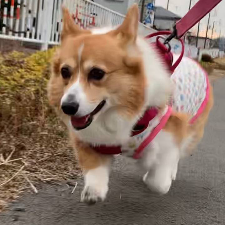 Affa1375 f51a 47a8 848d 766ac3cf4b89 1675841918075