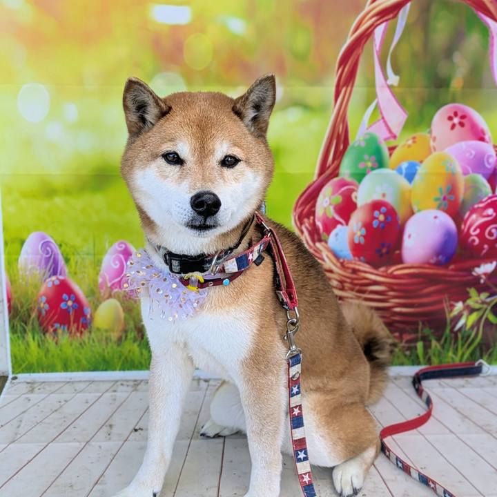 Affa4023 f701 45fd ae94 43a8b81ea31c 1741588107647