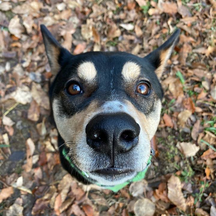 Affa4537 3f07 4890 9628 ad202301ebd0 1615079359058