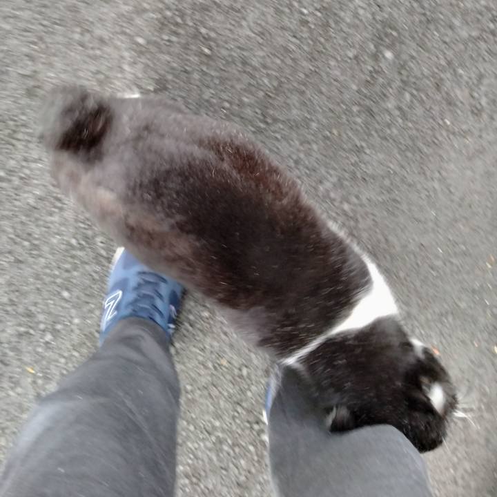 Affa72ac a943 4a7c 99ef a22474444805 1702684068237