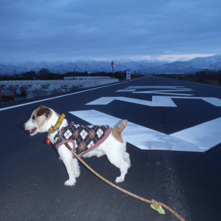 Affa8257 eb35 47f6 a244 9106b6d2d838 1514650236022