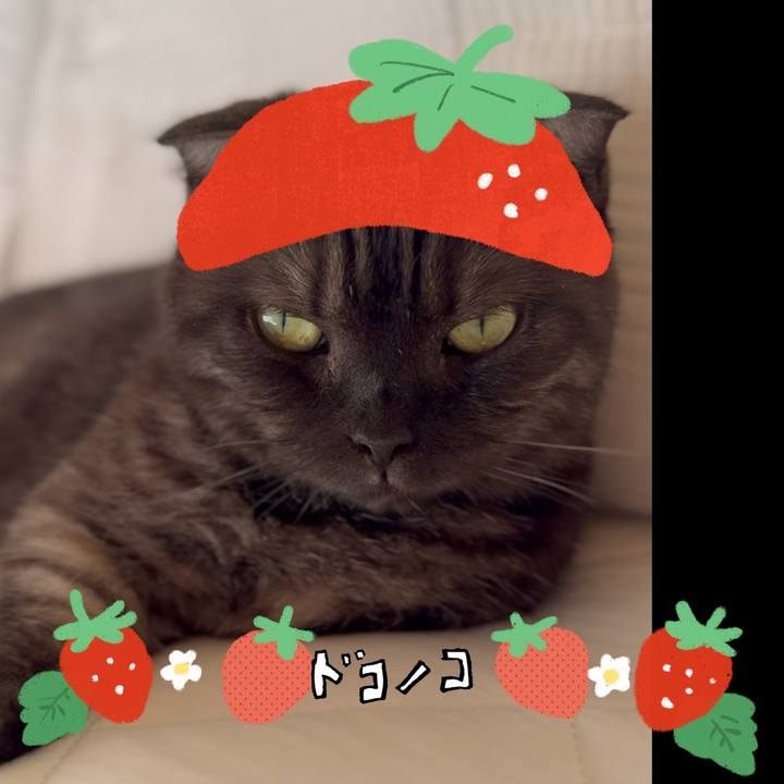 Affa8450 ef6c 469e b132 c748c67057df 1775868227136