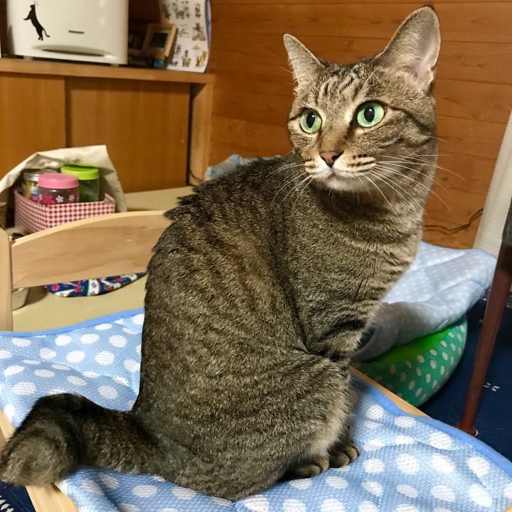 Affa8aaa 2036 4dec abd9 dc15530a69cd 1530953545462