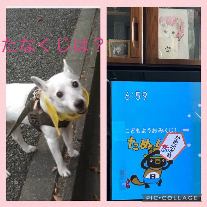 Affa90c7 e3d8 4655 af33 66f8704b5871 1722809268139