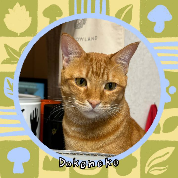 Affab782 33ae 4463 945d c940161fb3ab 1761262205936