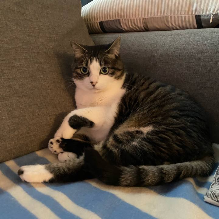 Affad663 4fcc 42c3 b19c 4808562400fb 1743202676632