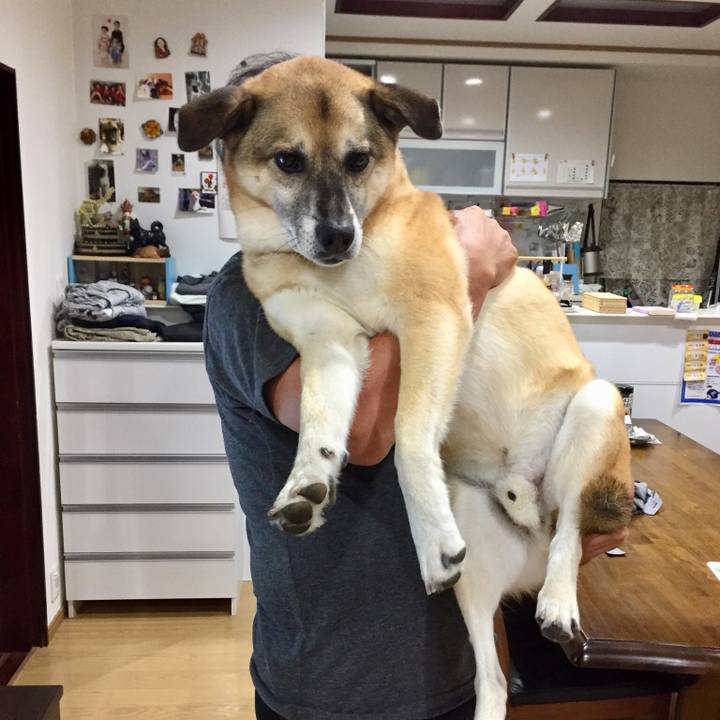 Affb2367 27c7 4020 8075 a8bf609fb749 1534244542226