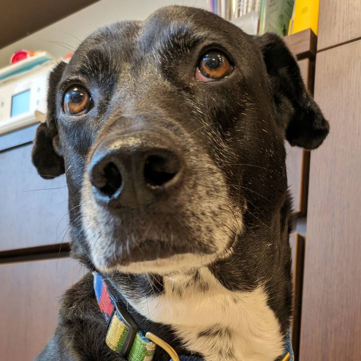 Affb4ab5 e939 4073 a7bb 33f44b81e939 1713954235337