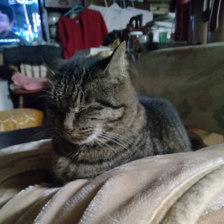 Affb6f7b 9688 4dc2 8ae7 871baa76ef3a 1705700445176