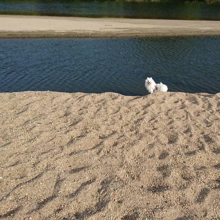 Affb87ab 74bc 4198 a696 f9f5a9291085 1598792069977