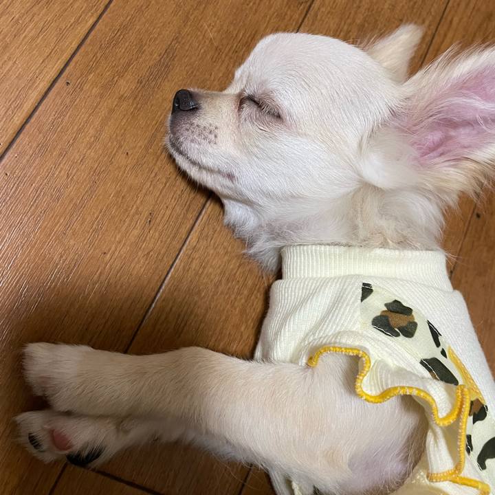 Affb93e3 afc7 44e1 bbd1 9df74aa7366f 1663135971469