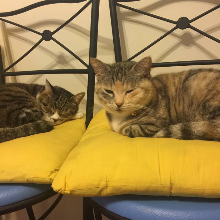 Affba0d9 9278 4fad aaaa 2f672aff9f8e 1556019846130