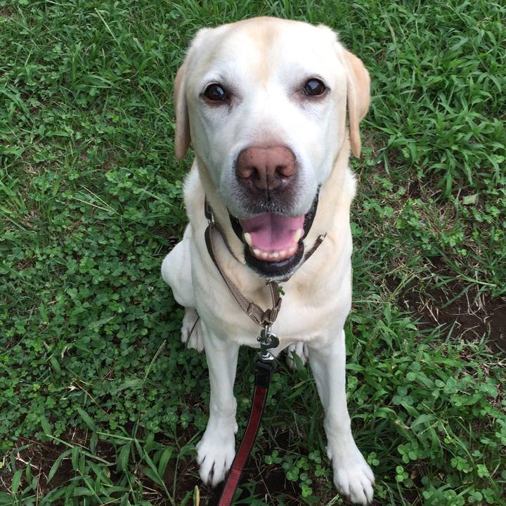 Affbb855 bea6 474a b8c6 aa4638374e4e 1536225826123