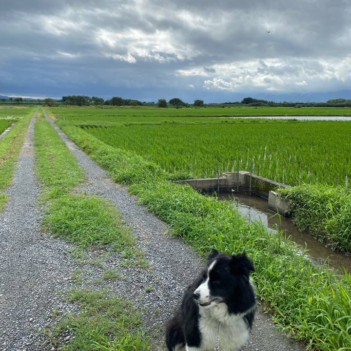 Affbb916 7b9b 4112 a2df c134c5eb8ffc 1595635422376