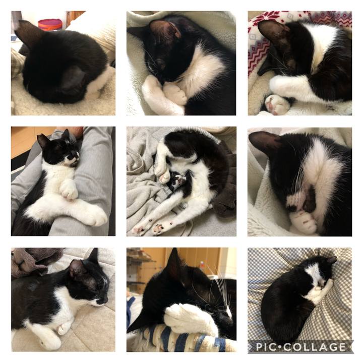 Affbde58 39cf 4f41 a72c 60eda239be14 1610713603906