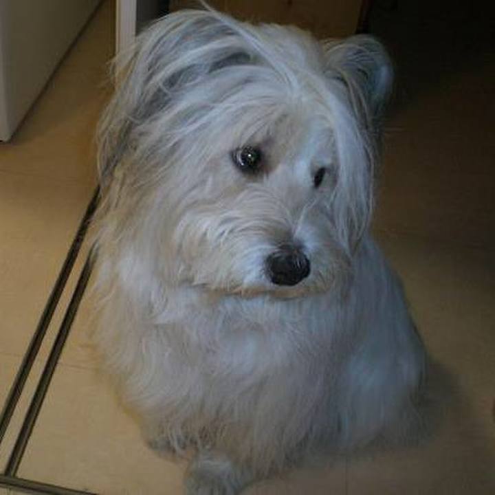 Affbe067 81bf 41f6 aadb 25ef0bd31232 1520239873550