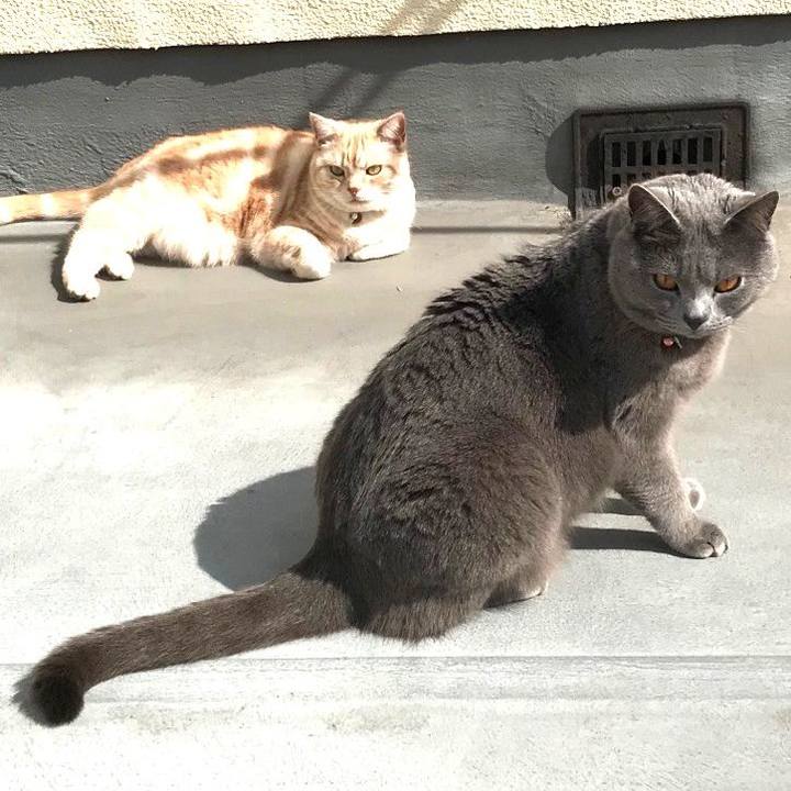 Affbfc0f bcd1 4cbe aa9e 42ef4a6ad335 1551421080349