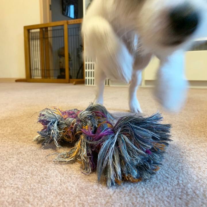 Affc0d92 9599 445d b875 df2a847db49e 1562408150619