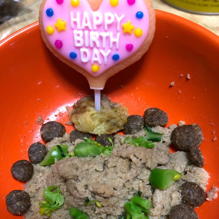 Affc2f6c 1429 4695 a28e 279c369c33a9 1618625070525