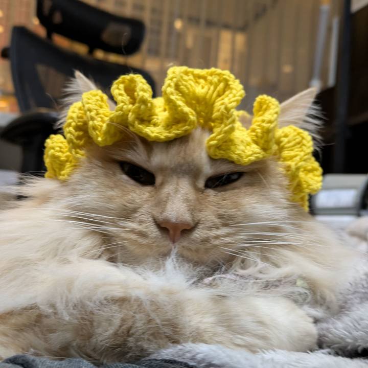 Affc6854 a299 4486 8cc0 ab01e3a35bd0 1773744250254